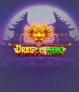 Join a legendary quest with the Dragon Hero game by Pragmatic Play, highlighting stunning visuals of mighty dragons and epic encounters. Discover a world where legend meets excitement, with featuring treasures, mystical creatures, and enchanted weapons for a thrilling slot experience.